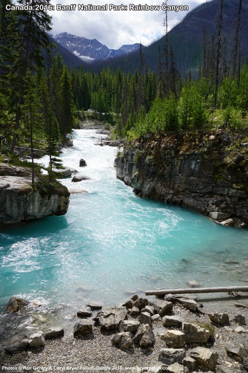 click for next image