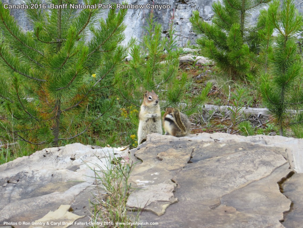 click for next image