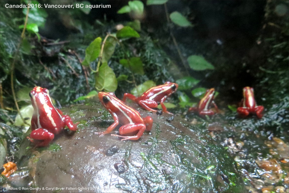 click for next image