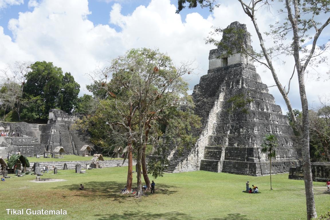 click for next image