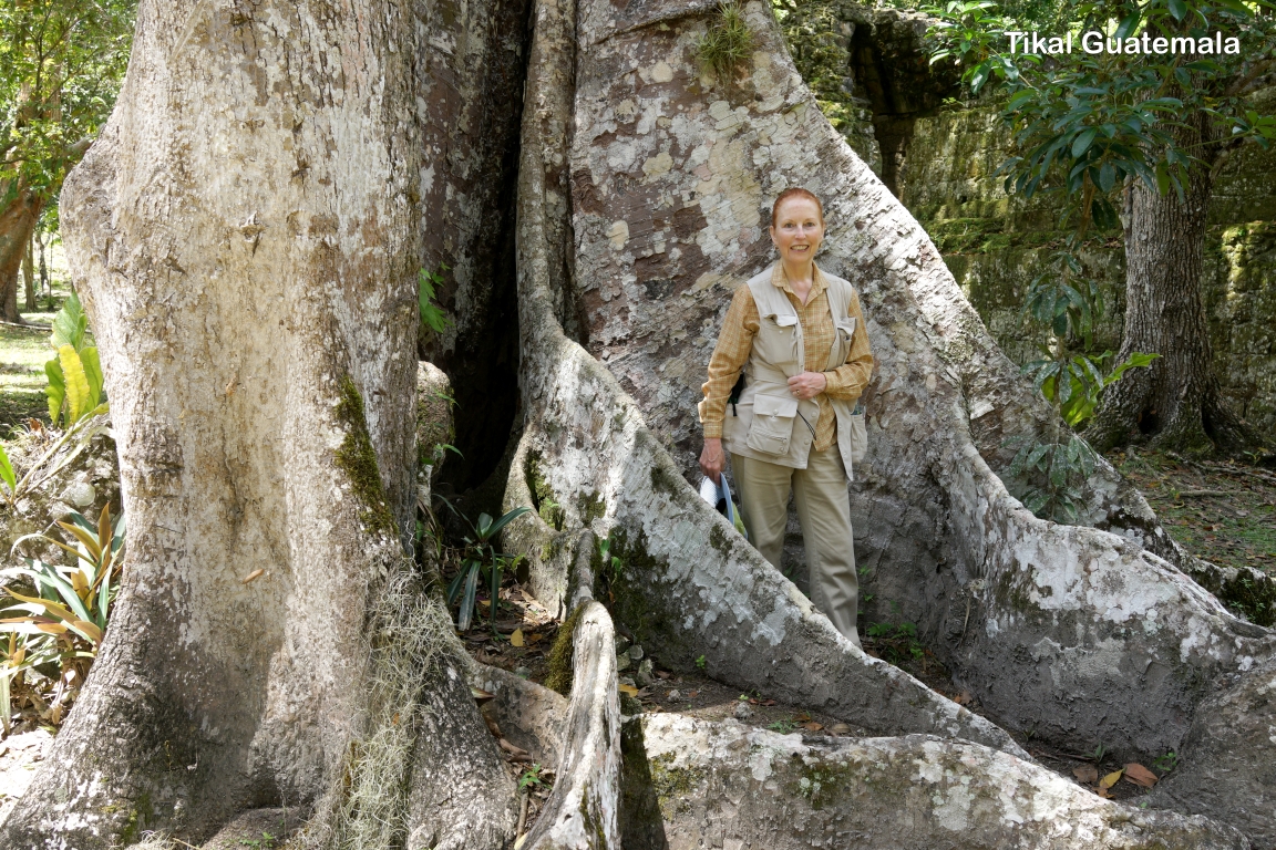 click for next image