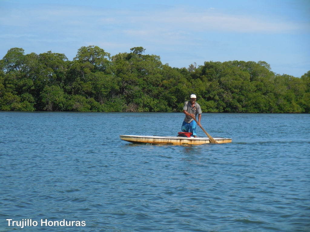 click for next image