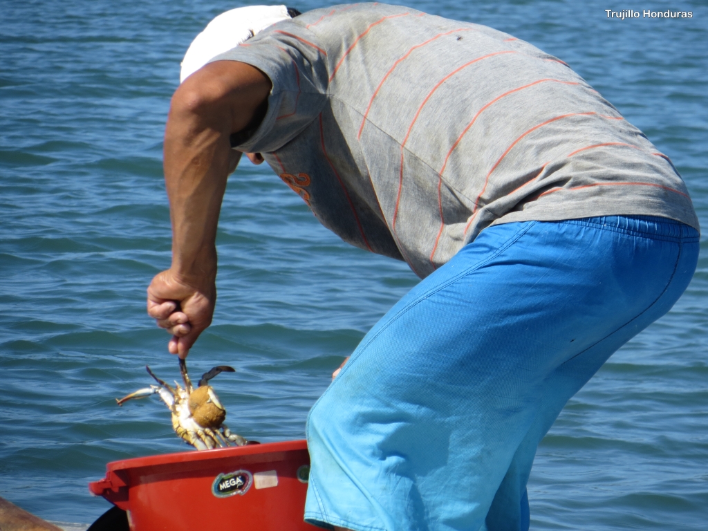 click for next image