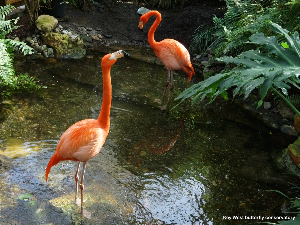 click for next image