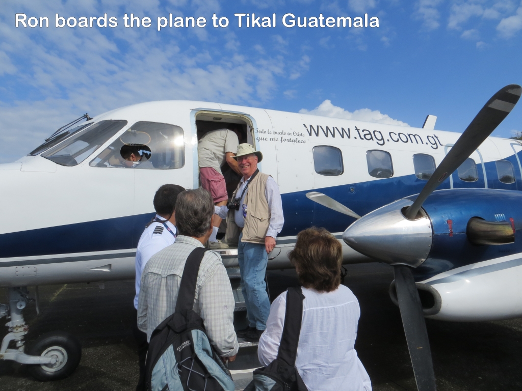 click for next image