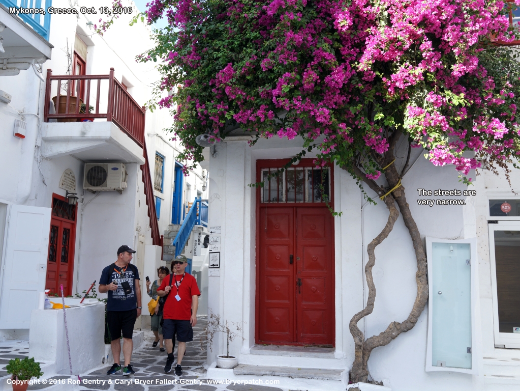 click for next image