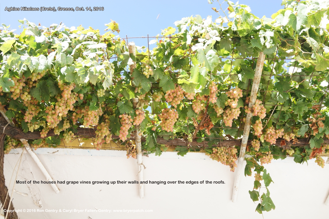 click for next image