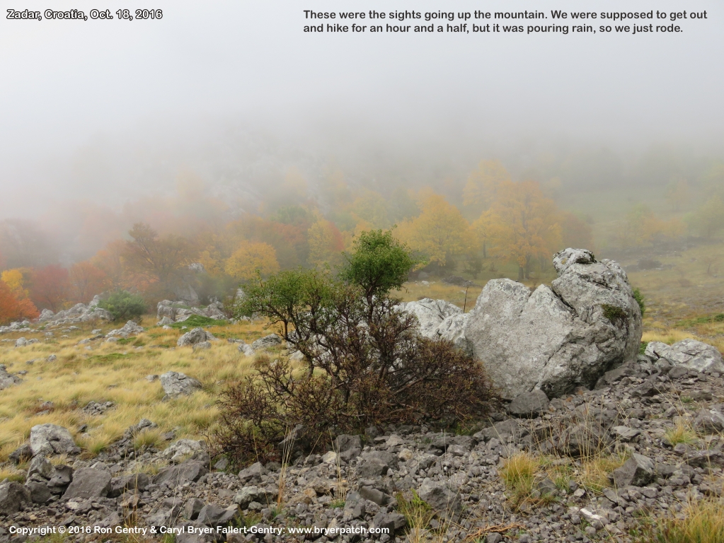 click for next image