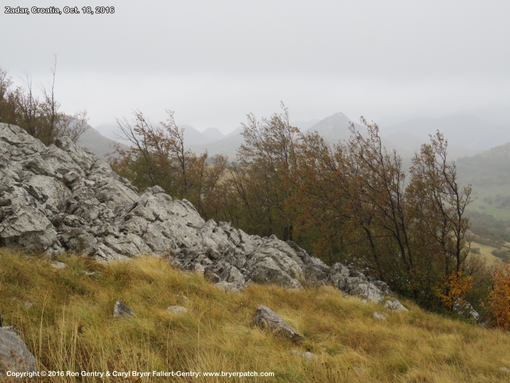 click for next image