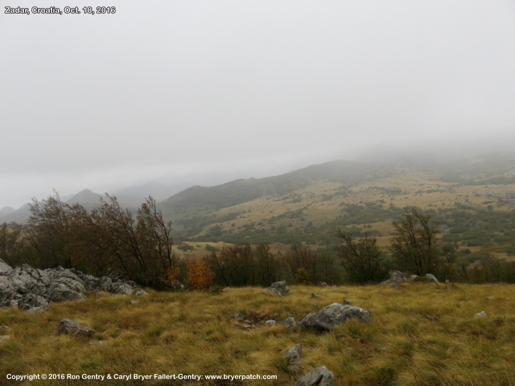 click for next image