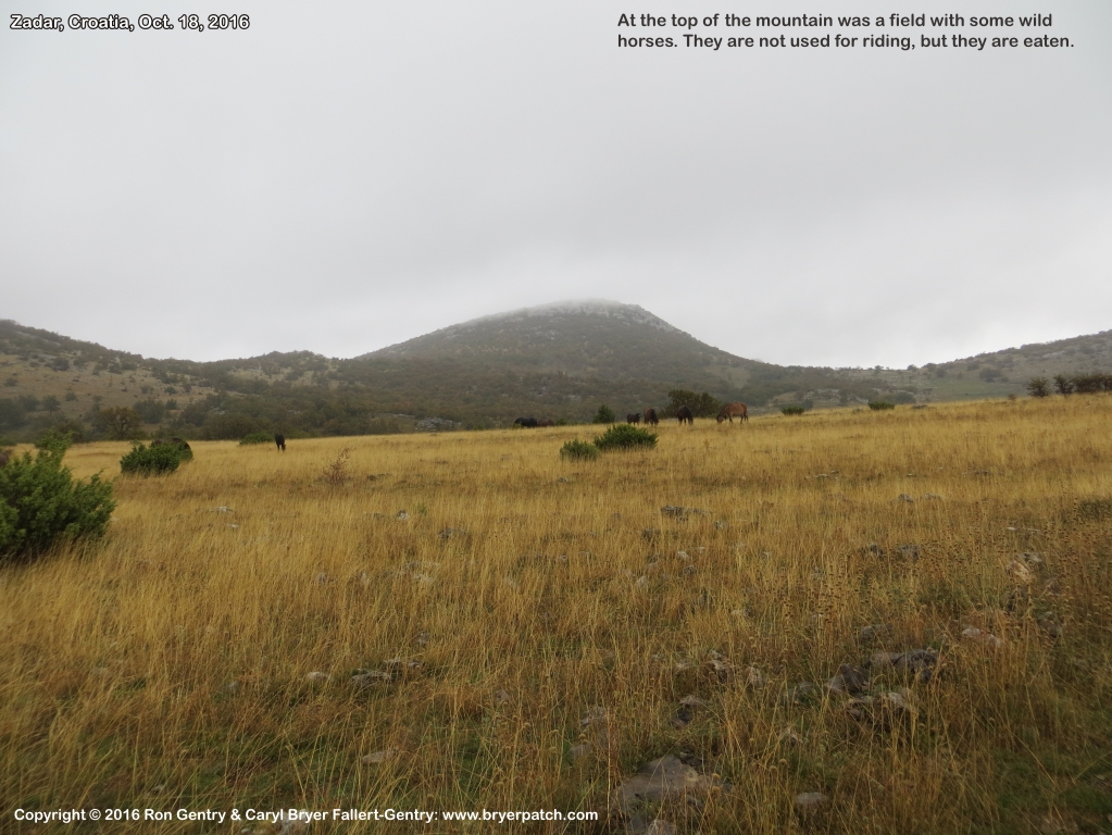 click for next image