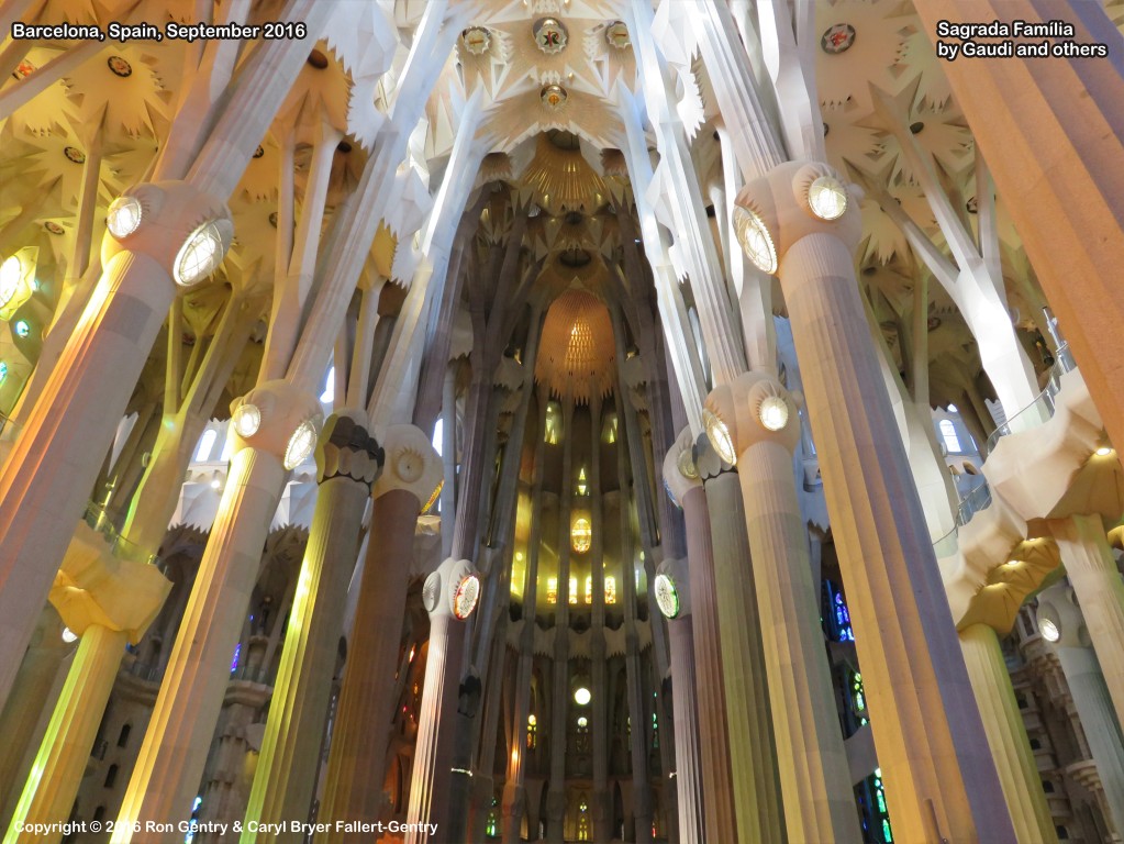 click for next image