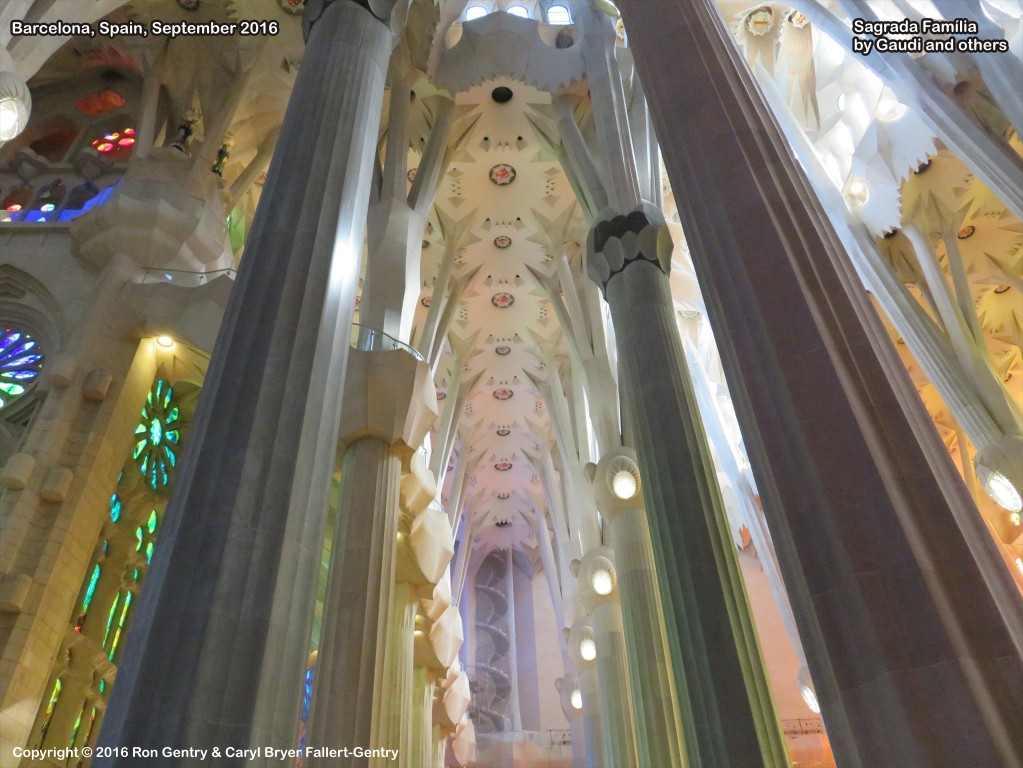 click for next image