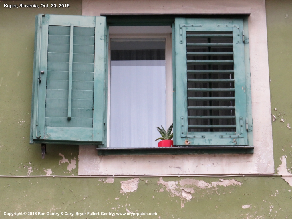 click for next image