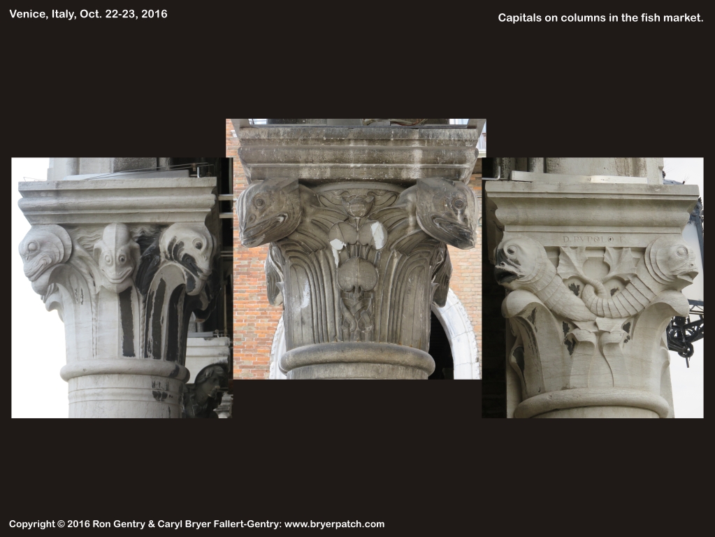 click for next image