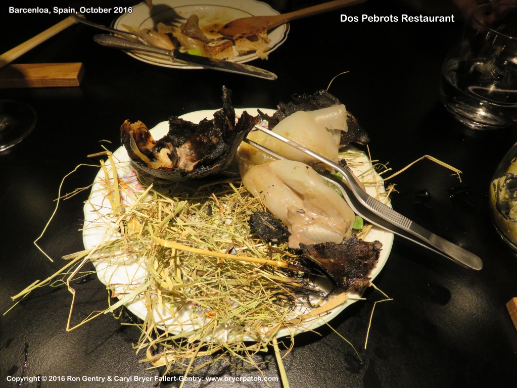 click for next image