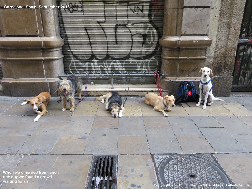 click for next image