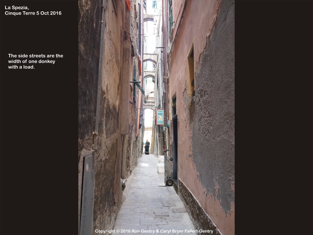 click for next image