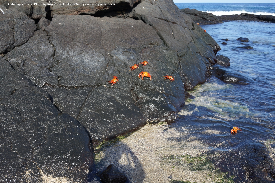 click for next image