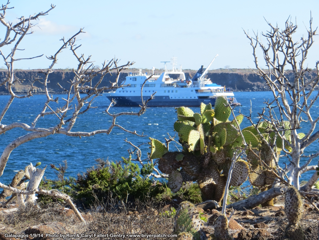 click for next image