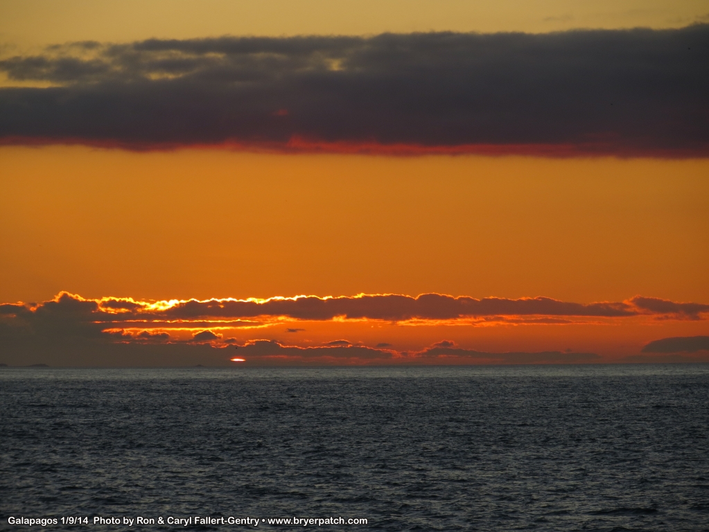 click for next image