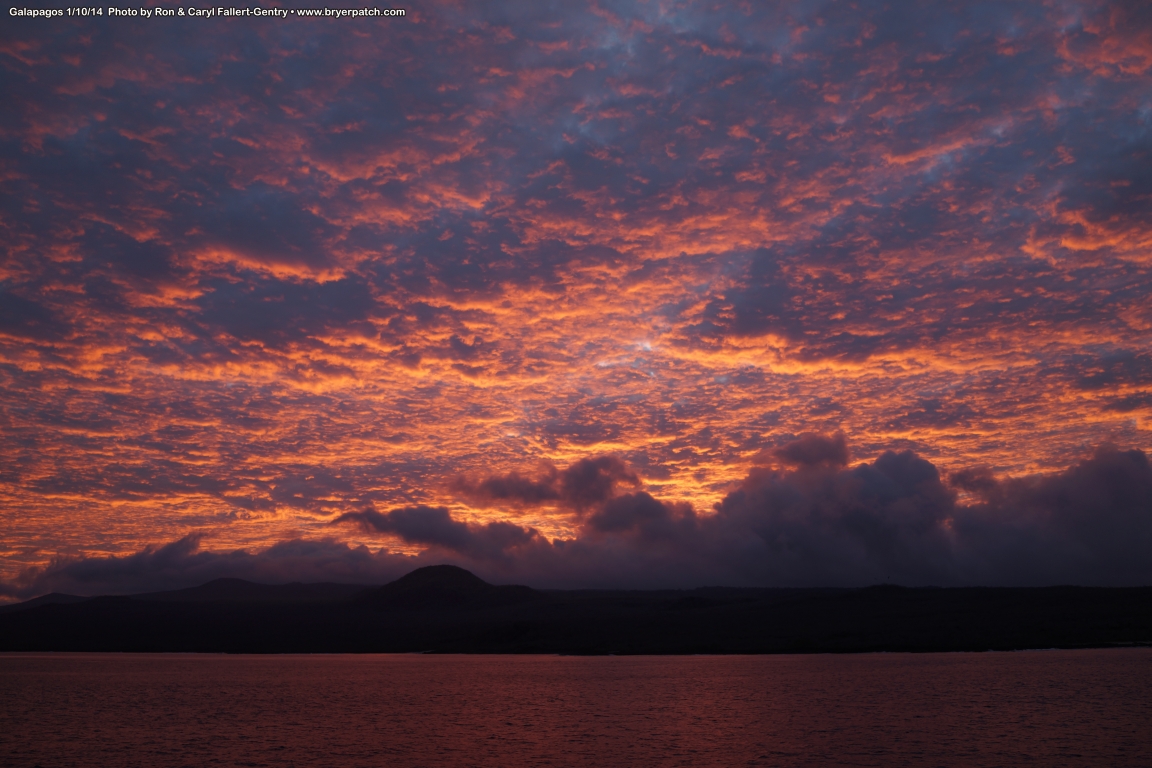 click for next image