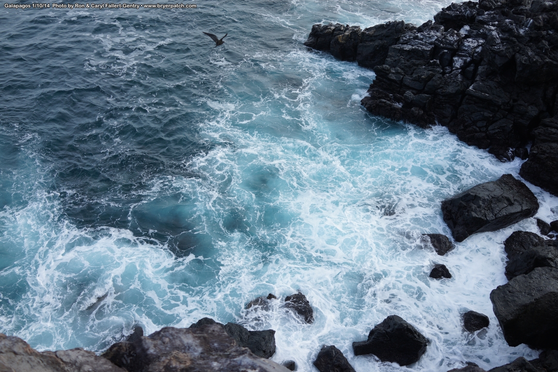 click for next image