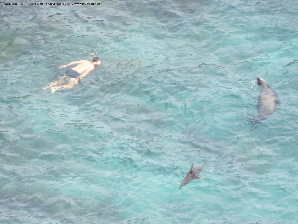 click for next image