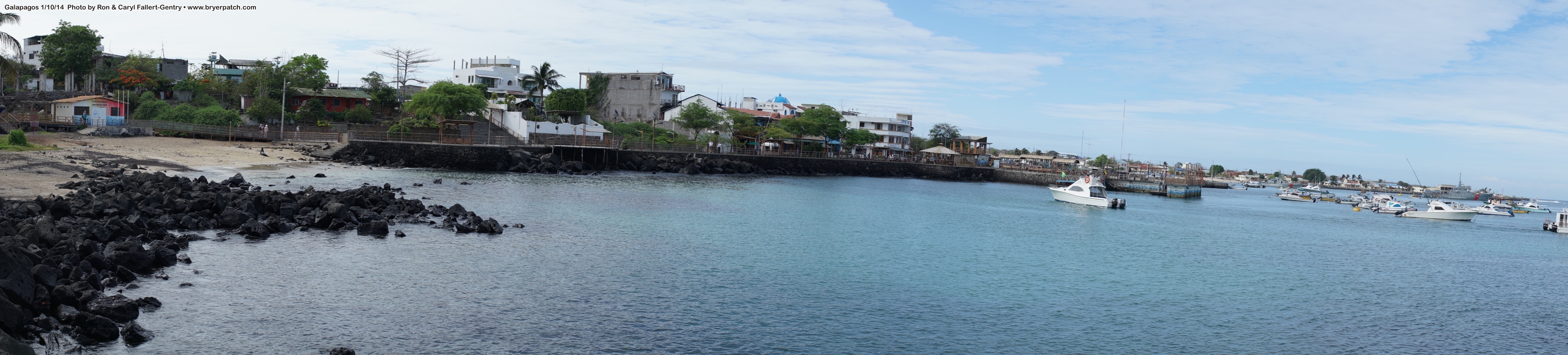 click for next image