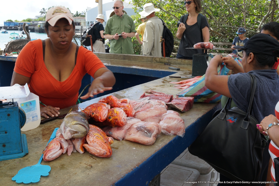 click for next image