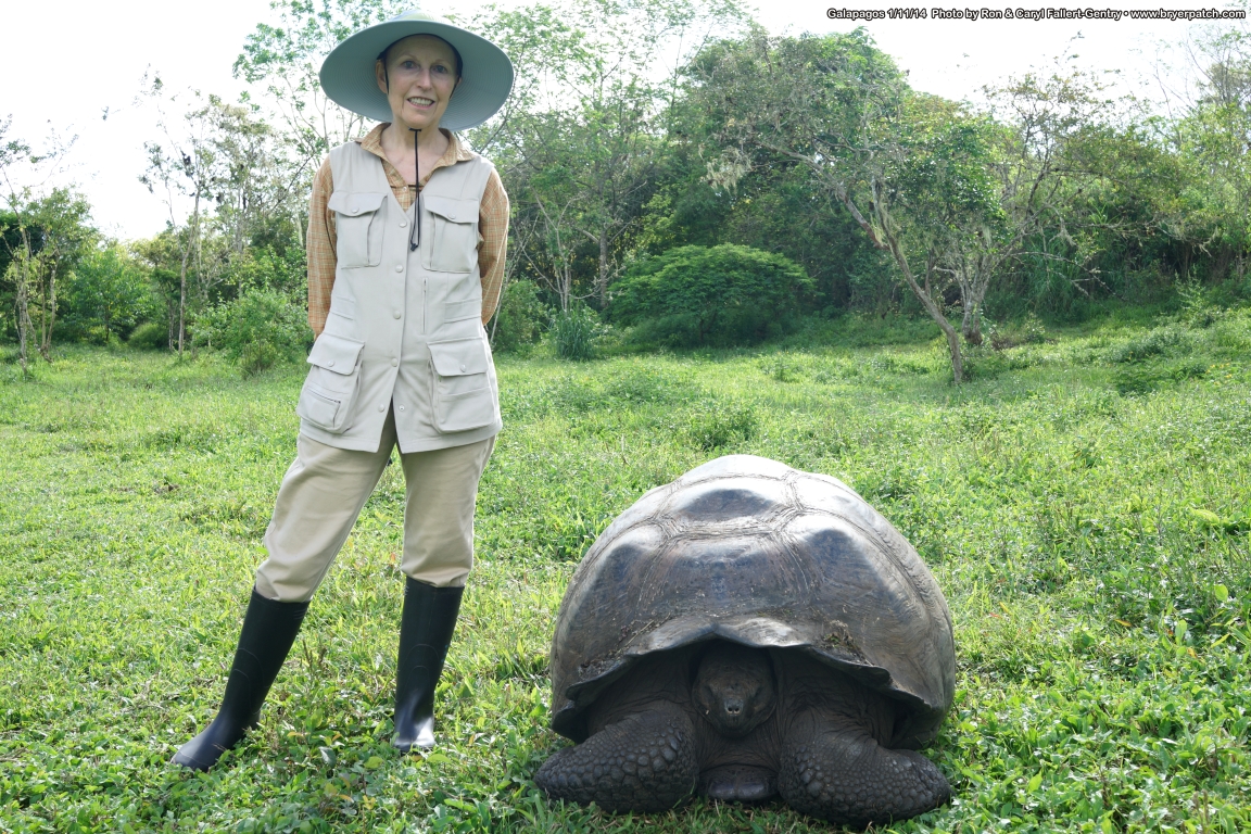 click for next image