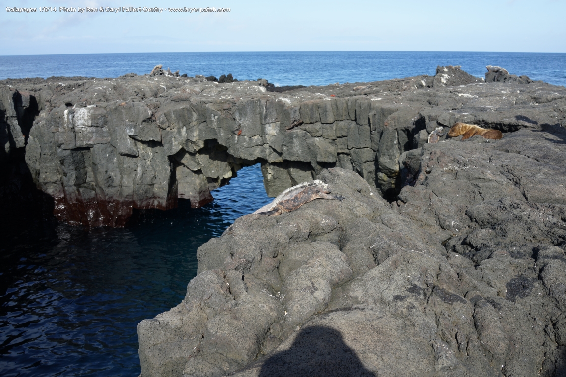 click for next image