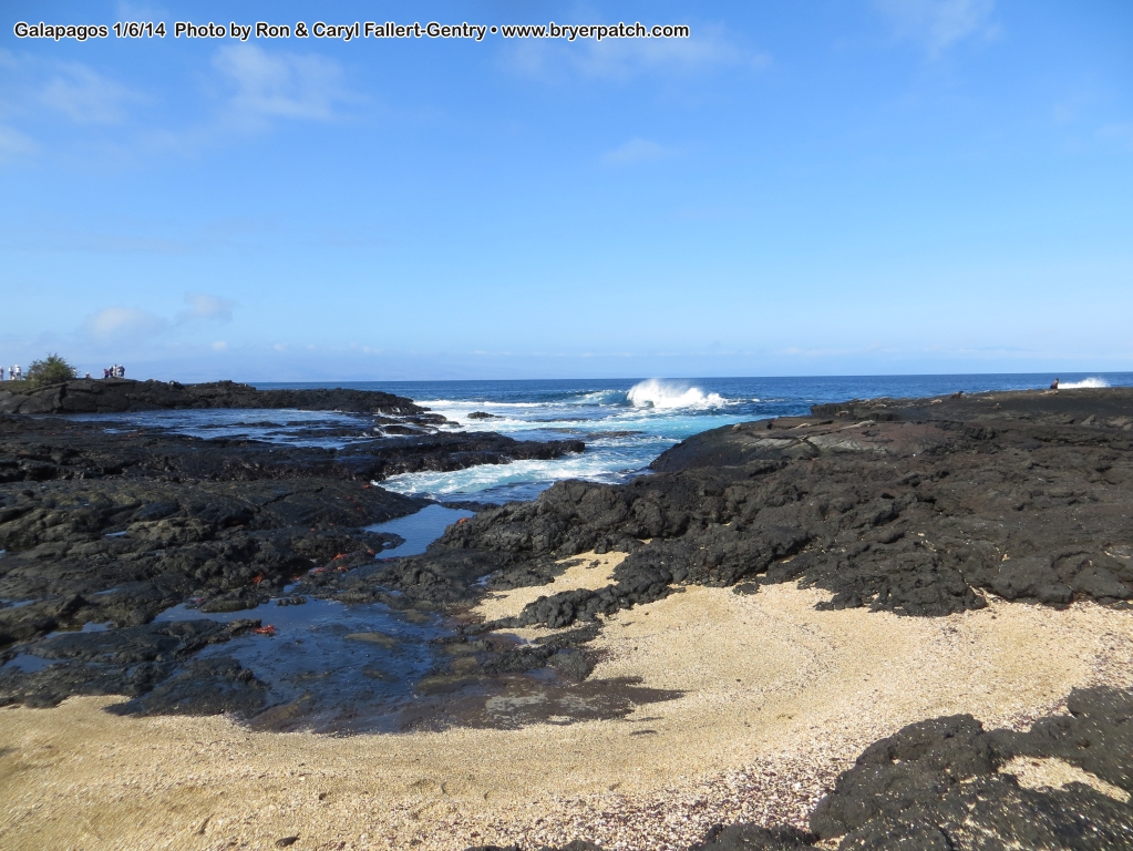 click for next image