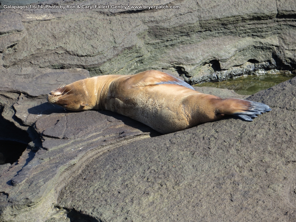 click for next image