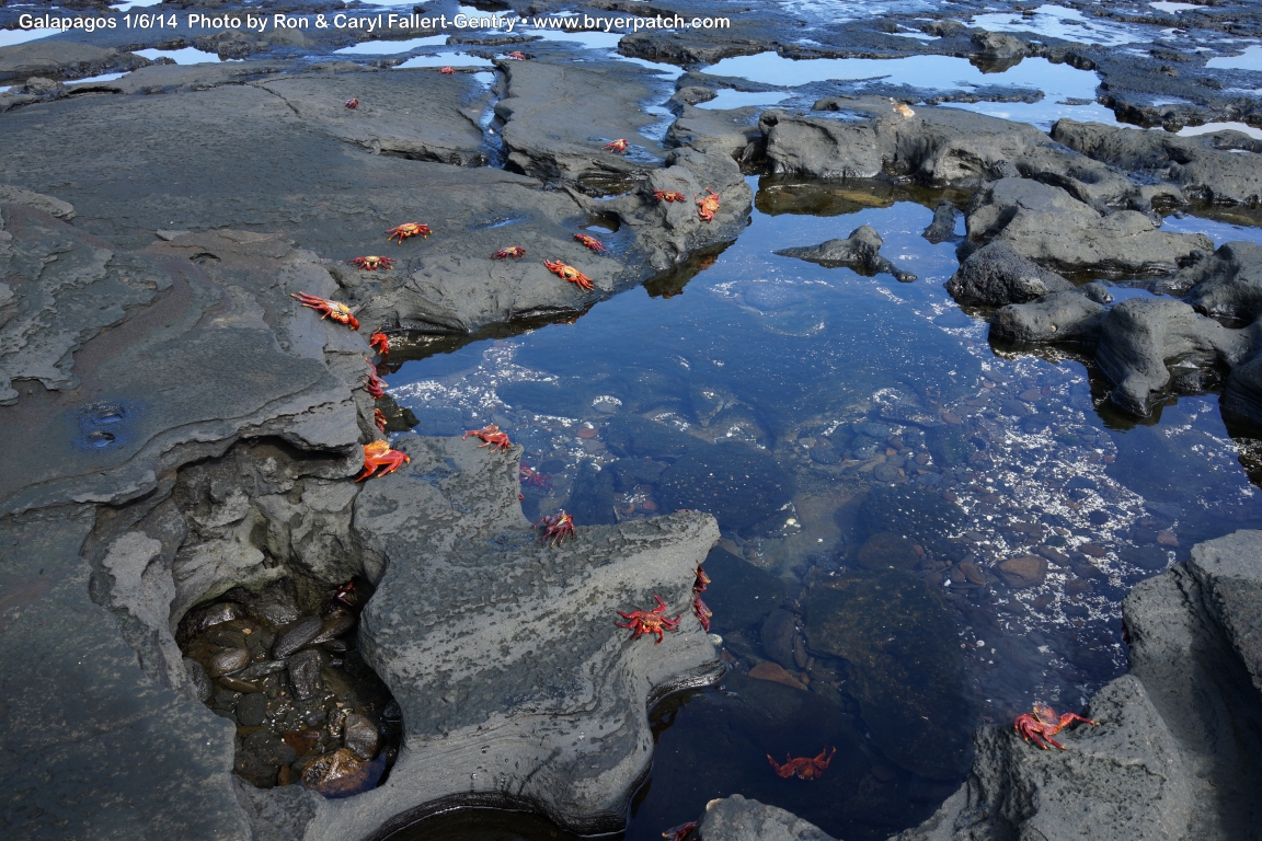 click for next image