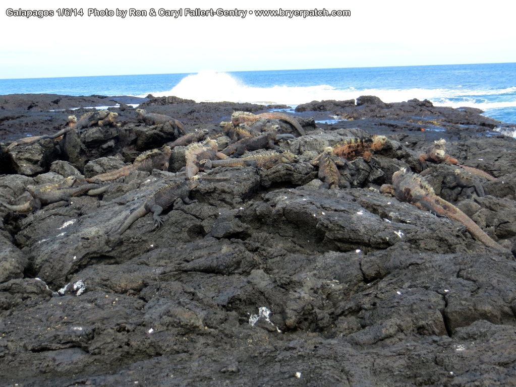 click for next image