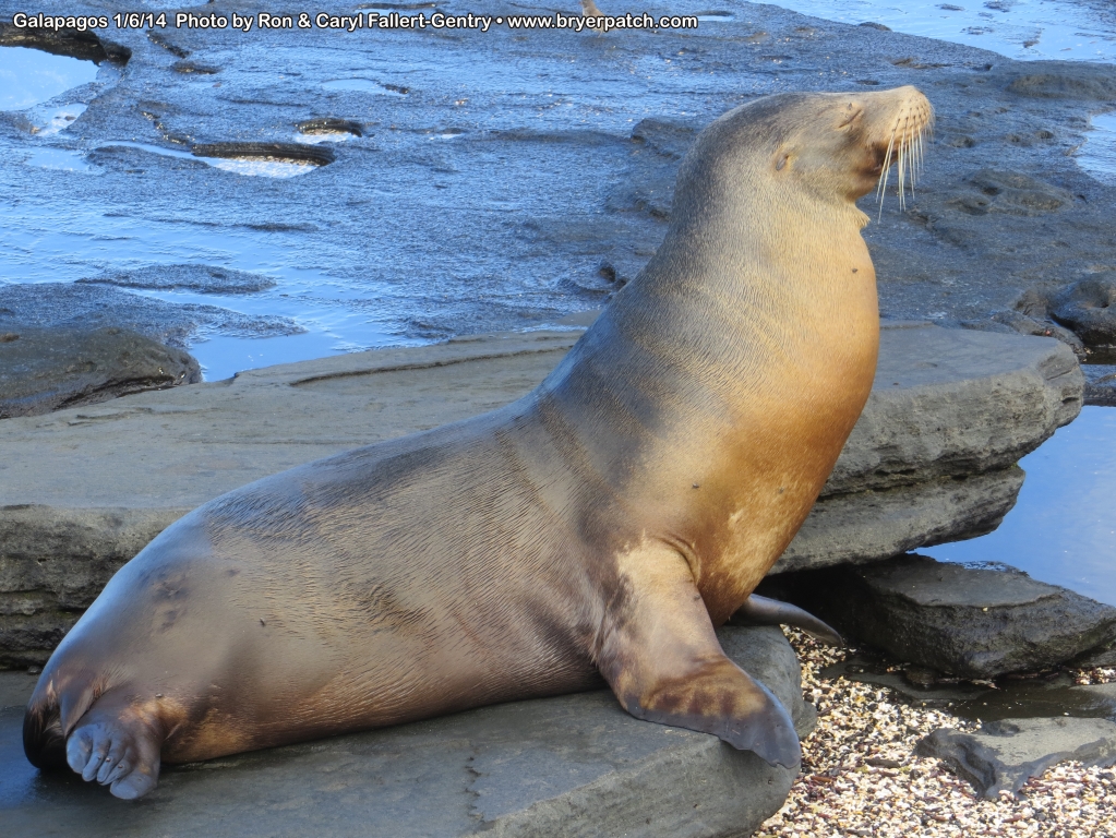 click for next image