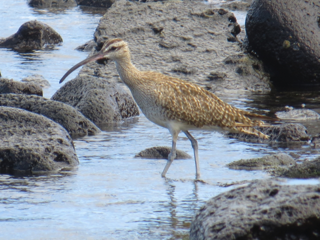 click for next image