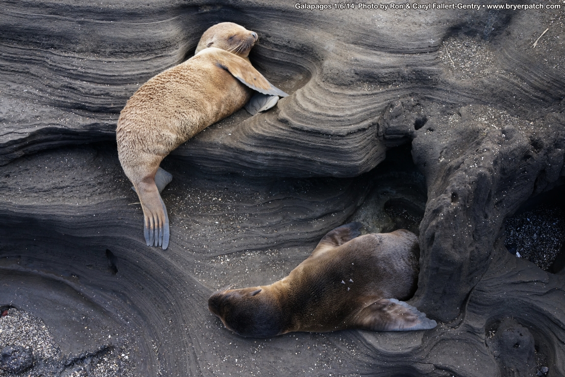 click for next image