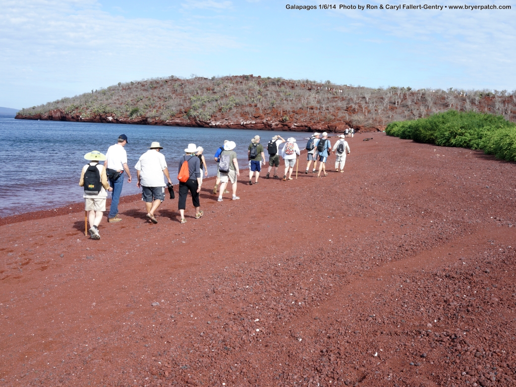 click for next image