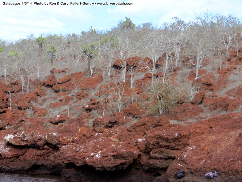 click for next image