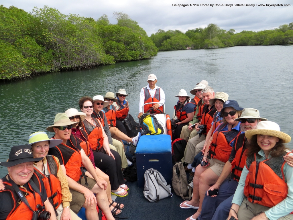 click for next image