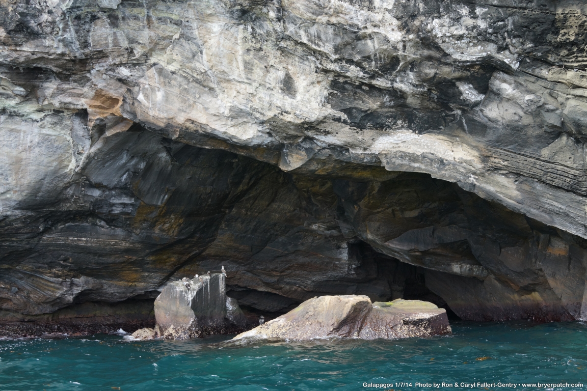 click for next image