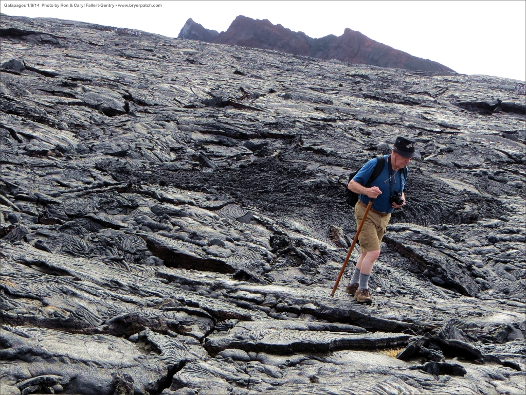 click for next image