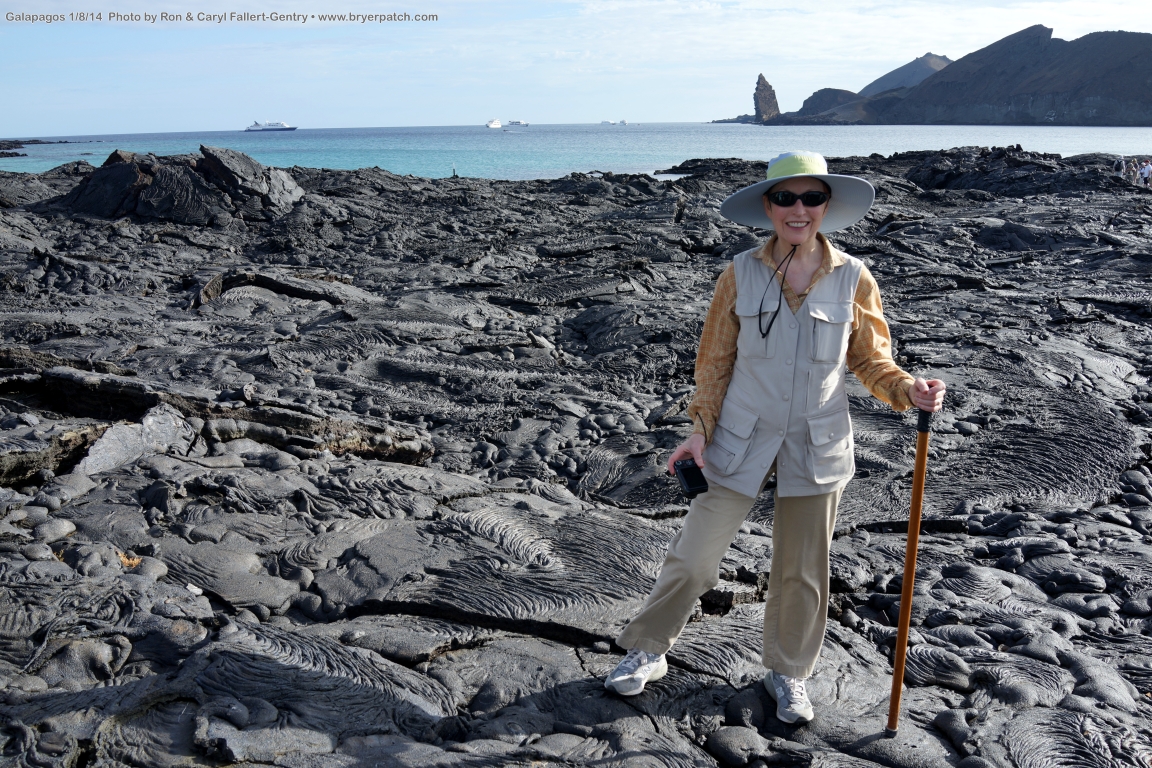 click for next image