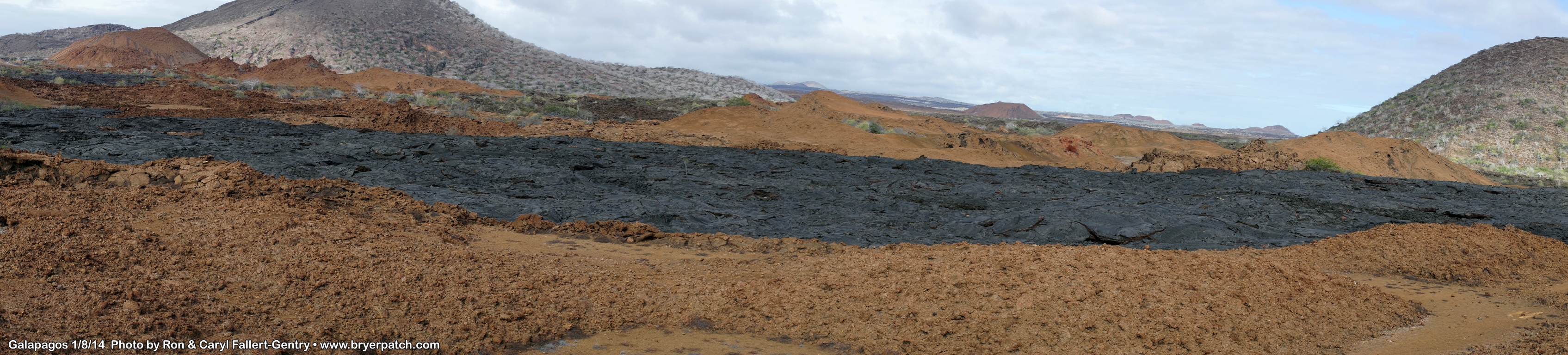 click for next image