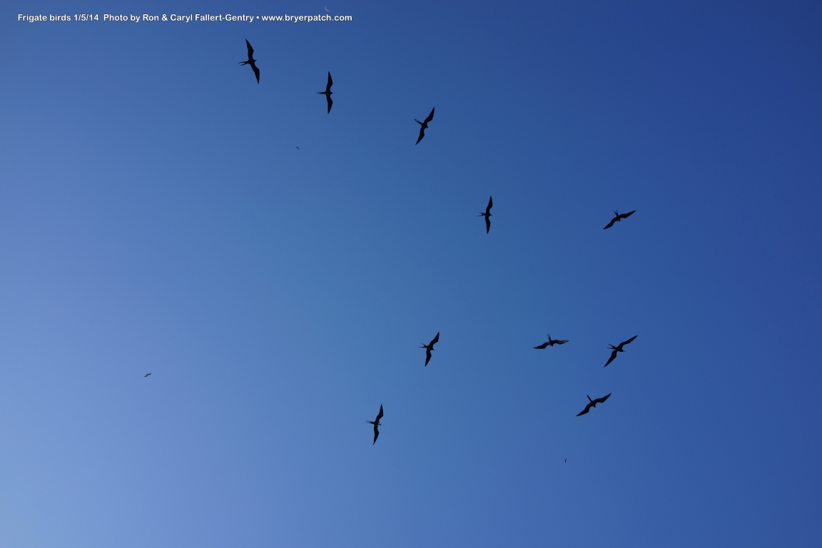 click for next image