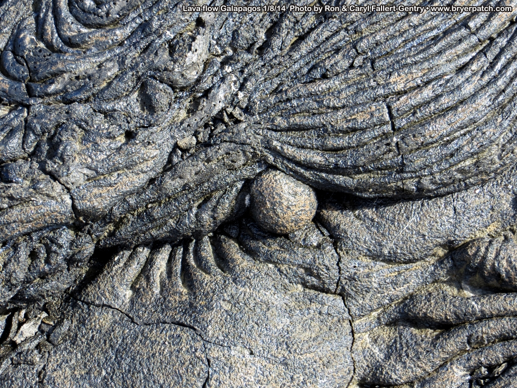 click for next image