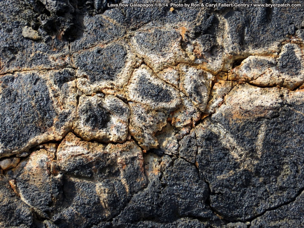 click for next image