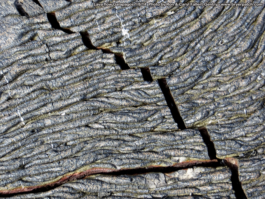 click for next image